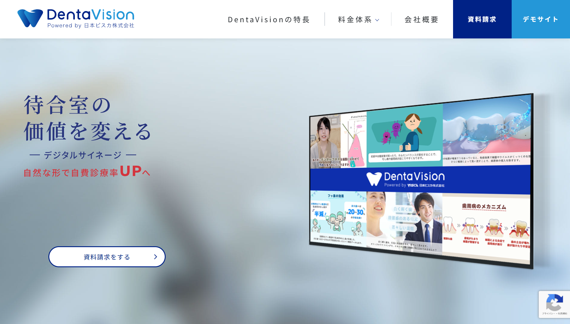 日本ビスカ株式会社(DentaVision)